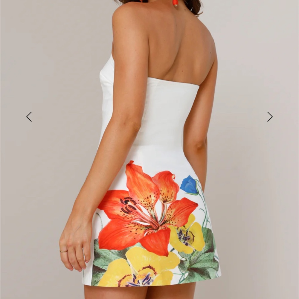 Runaway Primrose Mini Dress White Flower